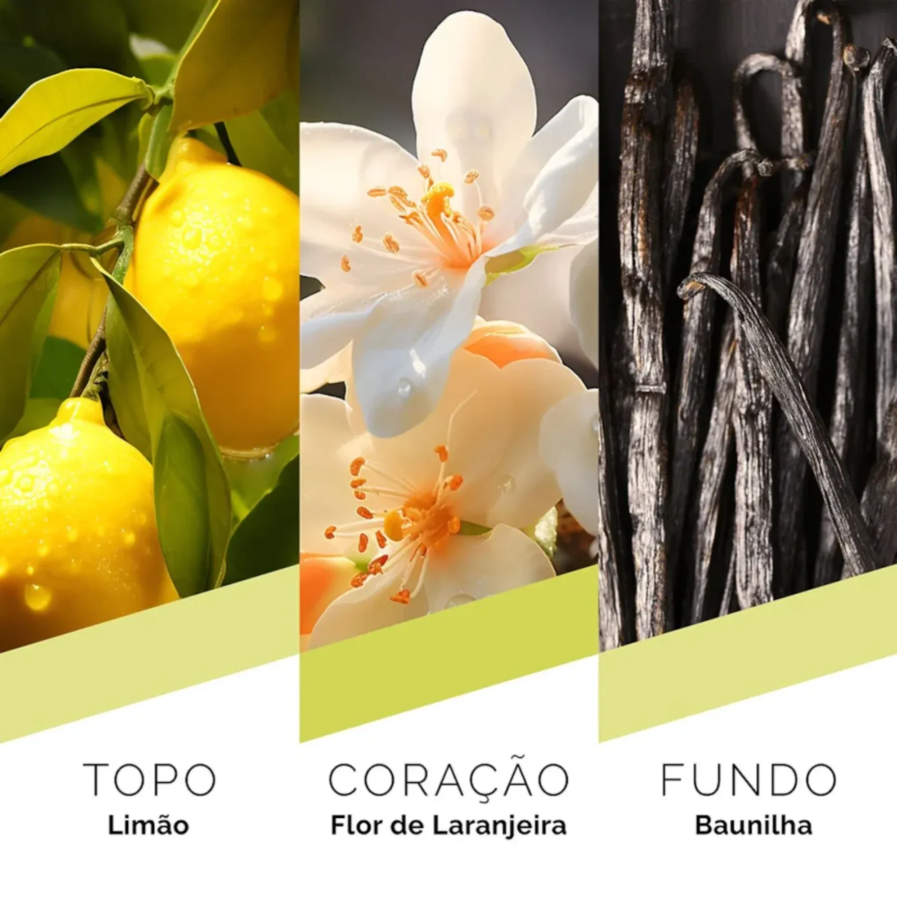 MILAO -2-